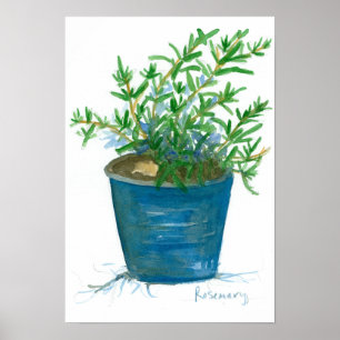 Rosemary Kitchen Herb Plant Waterverf schilderen Poster