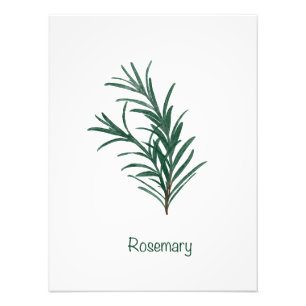 Rosemary Kitchen Wall Art Foto Afdruk