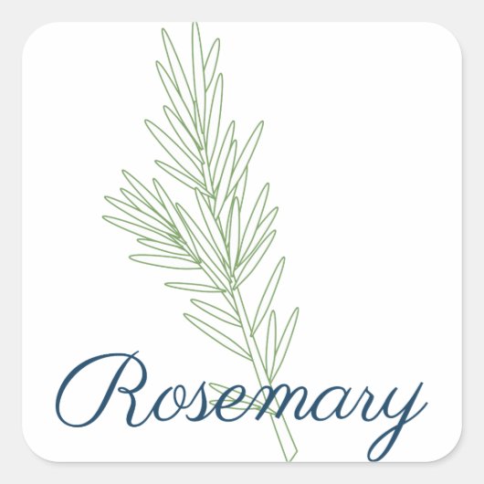 Rosemary Plant Vierkante Sticker (Voorkant)