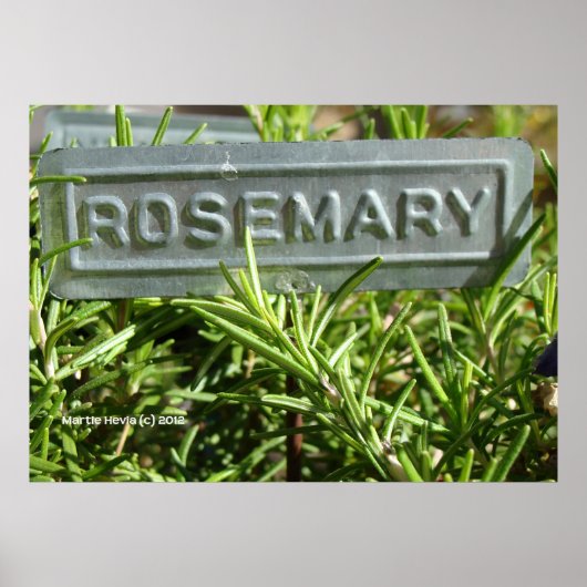 Rosemary Poster (Voorkant)