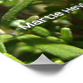 Rosemary Poster (Hoek)