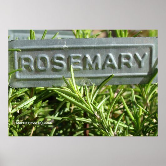 Rosemary Poster (Voorkant)