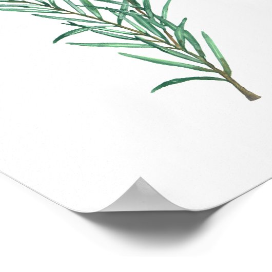 Rosemary Poster (Hoek)