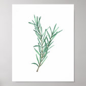 Rosemary Poster (Voorkant)