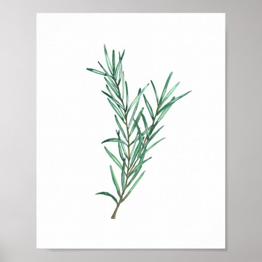 Rosemary Poster (Voorkant)