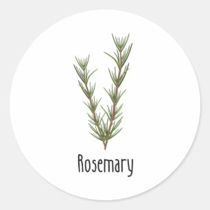 Rosemary Spices Herbs Ronde Sticker