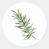 Rosemary Sprig Illustration Classic Round Sticker (Voorkant)