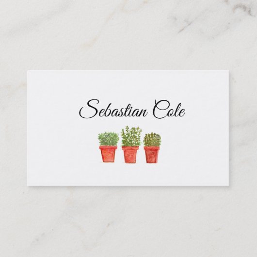 Rosemary Thyme Sage Herbs Culinaire Chef Pots Visitekaartje (Achterkant)