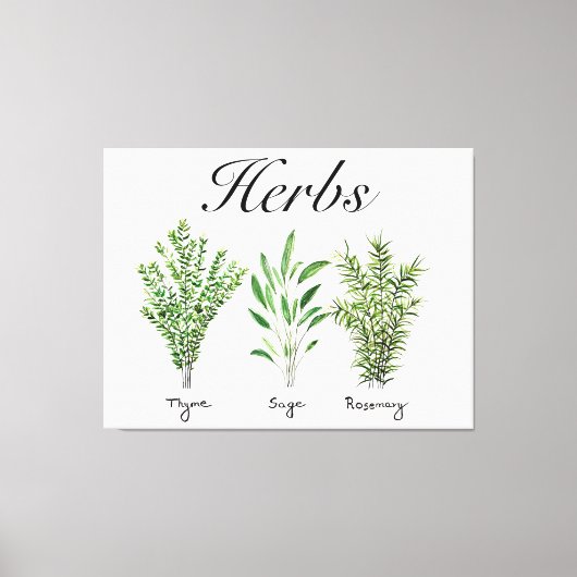Rosemary Thyme Sage Herbs Culinaire Keukenkaak Canvas Afdruk (Voorkant)