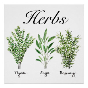 Rosemary Thyme Sage Herbs Culinaire Keukenkaak Perfect Poster