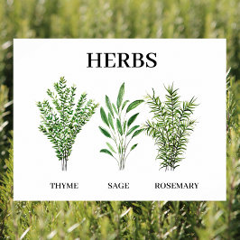 Rosemary Thyme Sage Herbs Culinaire Keukenkaak Poster