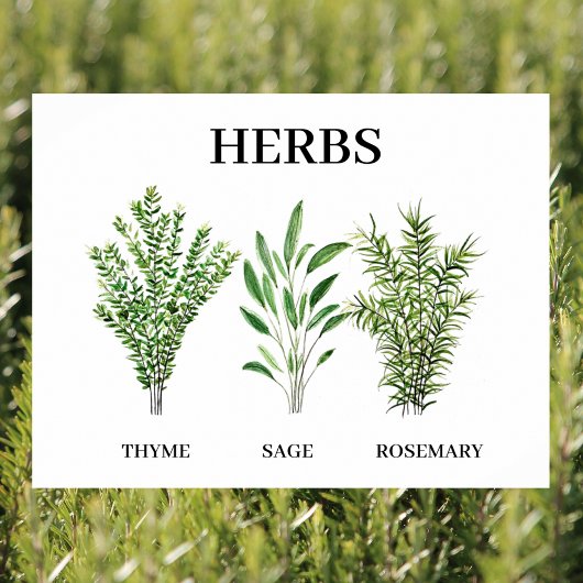 Rosemary Thyme Sage Herbs Culinaire Keukenkaak Poster