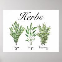 Rosemary Thyme Sage Herbs Culinaire Keukenkaak