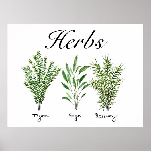 Rosemary Thyme Sage Herbs Culinaire Keukenkaak Poster (Voorkant)