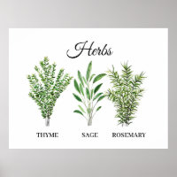 Rosemary Thyme Sage Herbs Culinaire Keukenkaak