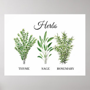 Rosemary Thyme Sage Herbs Culinaire Keukenkaak Poster