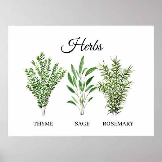 Rosemary Thyme Sage Herbs Culinaire Keukenkaak Poster (Voorkant)