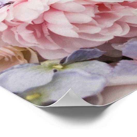 Rosen Achtergrond Poster (Hoek)