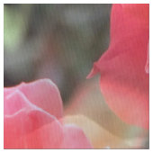 Rosen der Liefde....... Stof (Close Up)