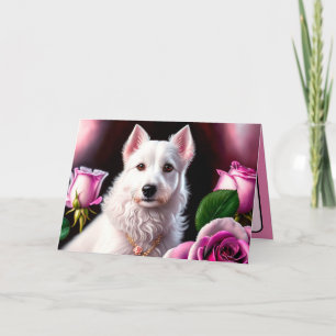 Rosen En Witte Hond Collectie Kaart
