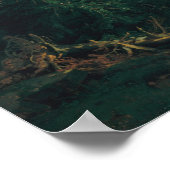 Rosen Lanigletscher, 1854 Poster (Hoek)