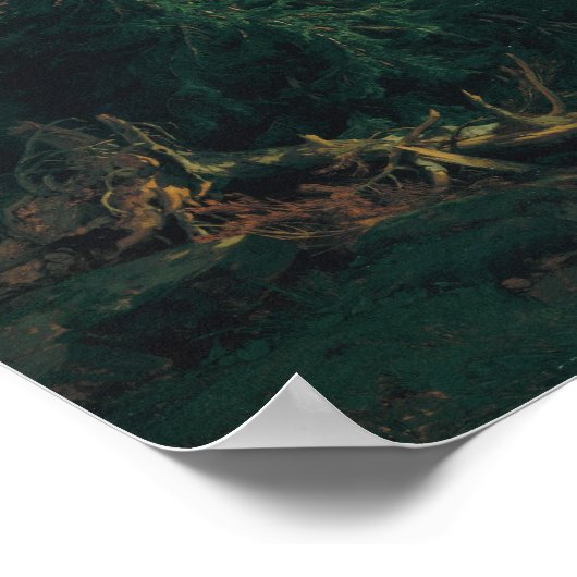 Rosen Lanigletscher, 1854 Poster (Hoek)