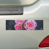 Rosen Sticker (Op auto)