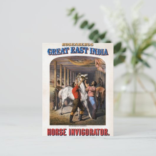 Rosenbergs Great East India Horse Invigorator. Briefkaart (Staand voorkant)