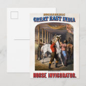 Rosenbergs Great East India Horse Invigorator. Briefkaart (Voorkant / Achterkant)