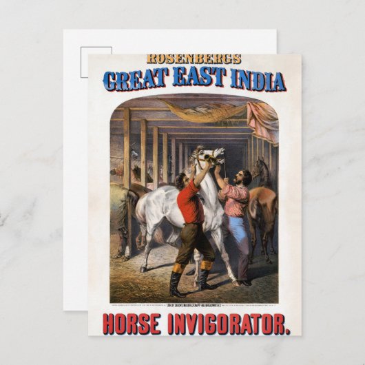Rosenbergs Great East India Horse Invigorator. Briefkaart (Voorkant / Achterkant)