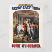 Rosenbergs Great East India Horse Invigorator. Briefkaart (Voorkant)