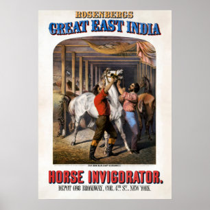 Rosenbergs Great East India Horse Invigorator. Poster