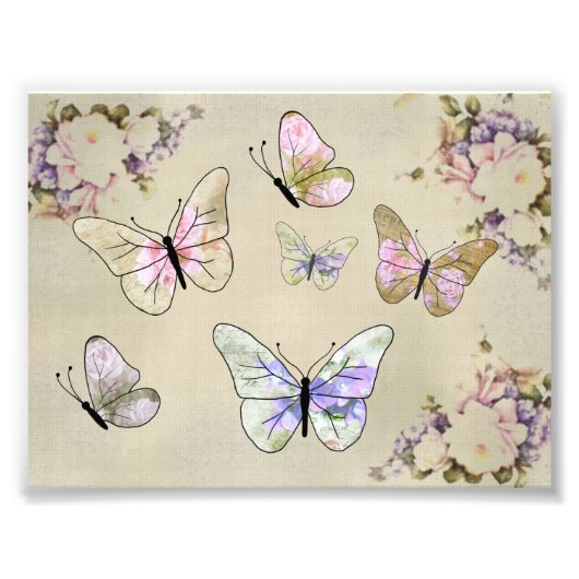 Rosenschmetterlinge Foto Afdruk (Voorkant)