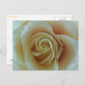 Rosentraum Briefkaart (Voorkant / Achterkant)