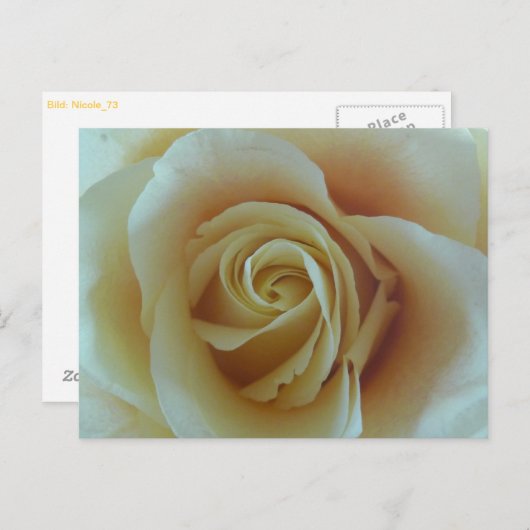 Rosentraum Briefkaart (Voorkant / Achterkant)