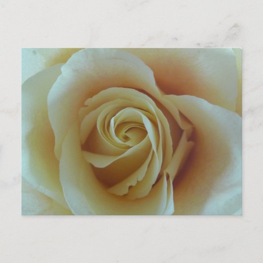 Rosentraum Briefkaart (Voorkant)