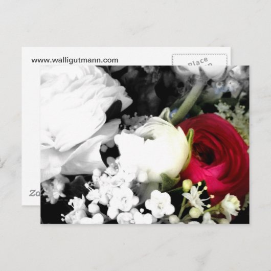 Rosenweissundrot Briefkaart (Voorkant / Achterkant)