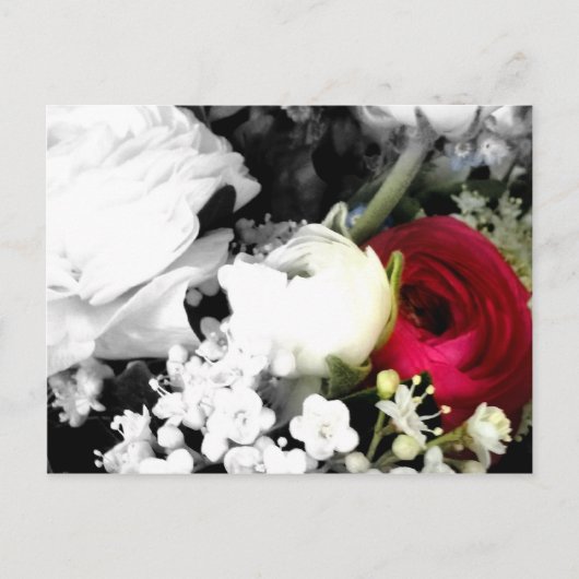 Rosenweissundrot Briefkaart (Voorkant)