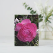 RoseRed... Briefkaart (Staand voorkant)