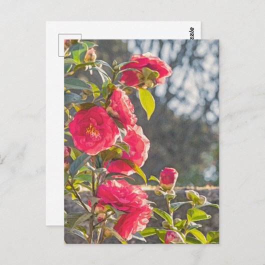 Roses briefkaart (Voorkant / Achterkant)