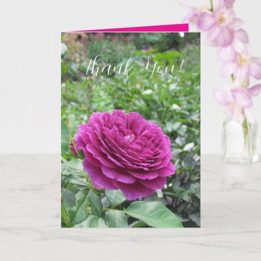 Roses Folded Greeting Card Kaart (Orchidee)