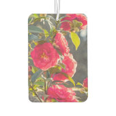 Roses  luchtverfrisser (Achterkant)