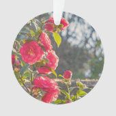 Roses  ornament (voorkant)