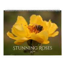 Roses Stunning Fotografie 2020