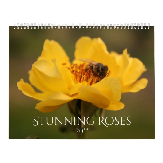 Roses Stunning Fotografie 2020 Kalender (Hoes)
