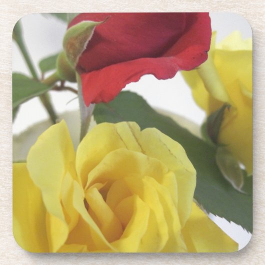 Roses van rood of geel bier onderzetter (Voorkant)