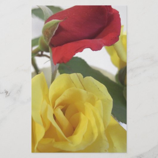 Roses van rood of geel briefpapier (Voorkant)