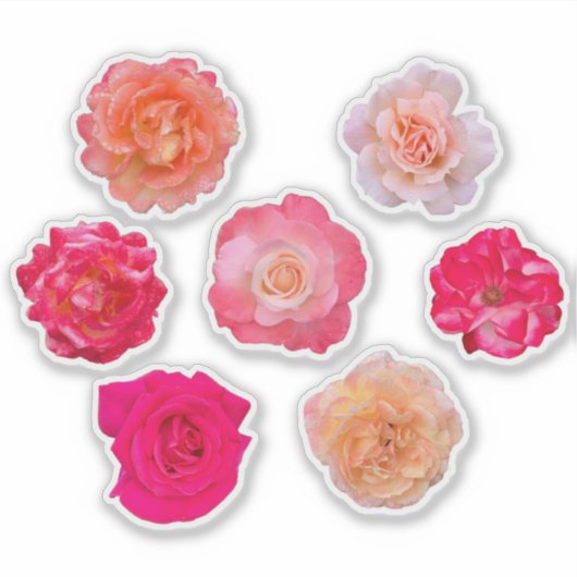 Roses Vinyl Sticker Set – 7 Unique Blooms (Voorkant)