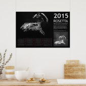 Rosetta 2015 poster (Keuken)