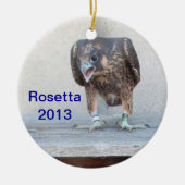 Rosetta Ornament 2013 (Voorkant)
